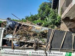 Best Residential Junk Removal  in Clay City, IN